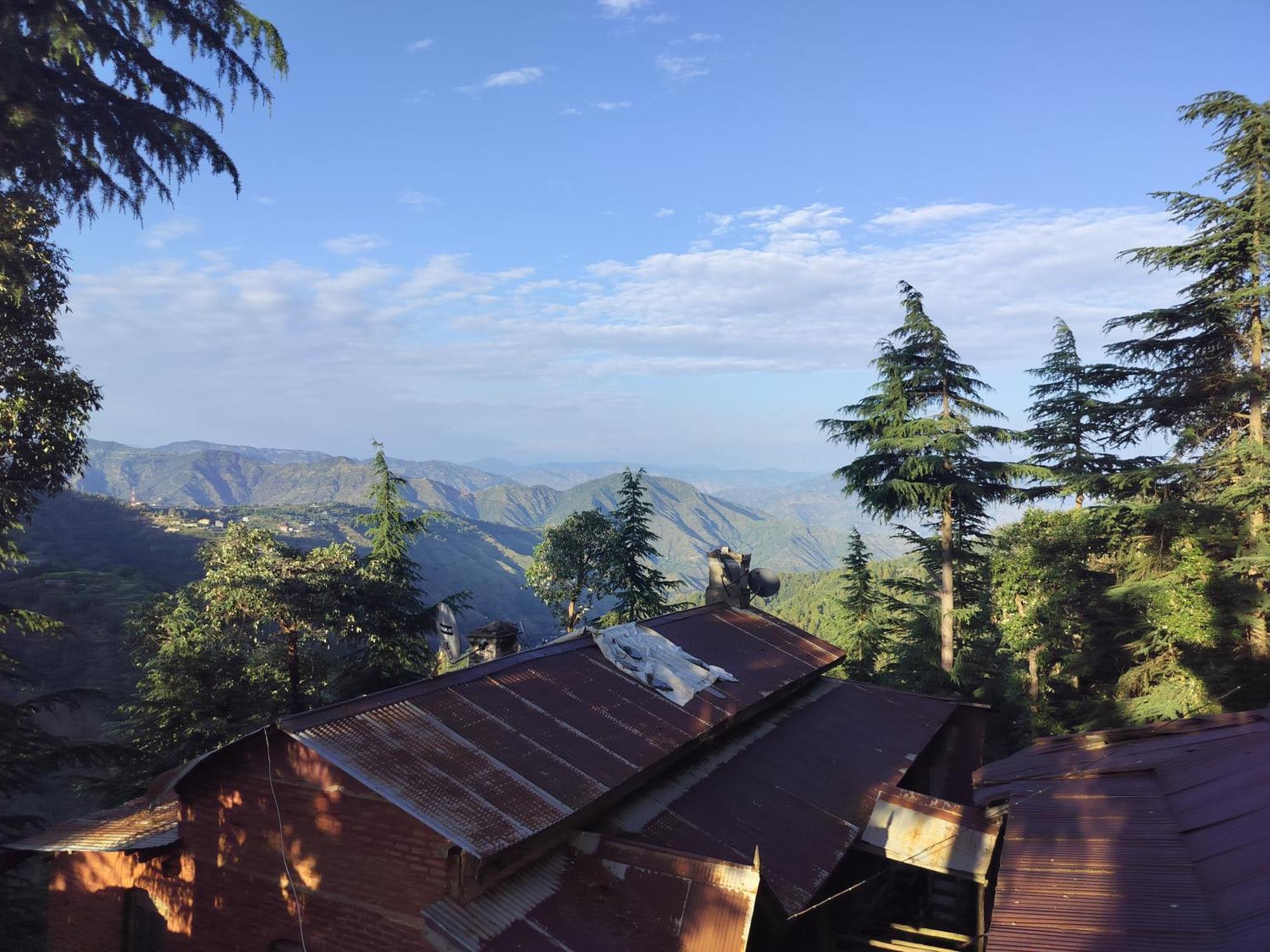 Tree Valley Homestay Chail Exterior foto